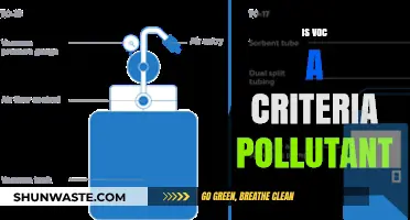 VOCs: Criteria Pollutants and Their Impact