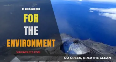 Volcanic Eruptions: Environmental Impact and Long-Term Ecological Consequences