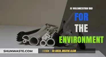Vulcanization's Environmental Impact: Sustainable Practices or Ecological Concern?