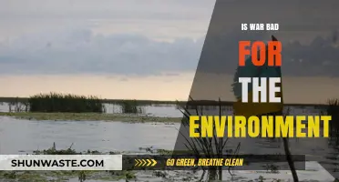 War's Environmental Toll: Devastation, Pollution, and Long-Term Ecological Consequences