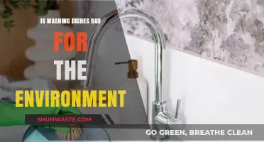 Eco-Friendly Dishwashing: Uncovering the Environmental Impact of Clean Dishes