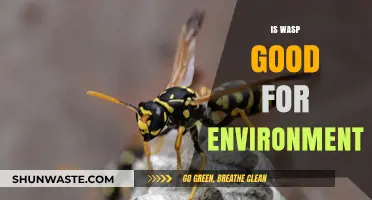 Are Wasps Eco-Friendly? Unveiling Their Environmental Impact and Benefits
