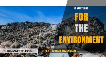 Is Waste Harming Our Planet? Uncovering Environmental Impacts and Solutions