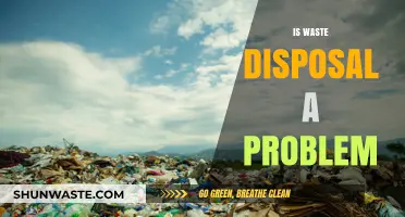 The Growing Concern of Waste Disposal: A Problematic Reality