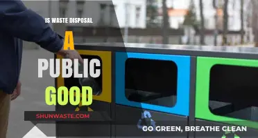 Exploring Waste Disposal: A Public Good or Private Responsibility?