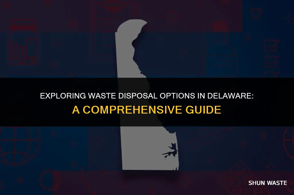 is waste disposal delaware