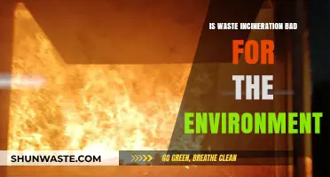 Waste Incineration: Environmental Impact and Sustainable Alternatives Explored