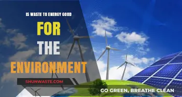 Waste-to-Energy: Eco-Friendly Solution or Environmental Concern?