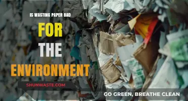 Paper Waste: Environmental Impact and Sustainable Alternatives Explored