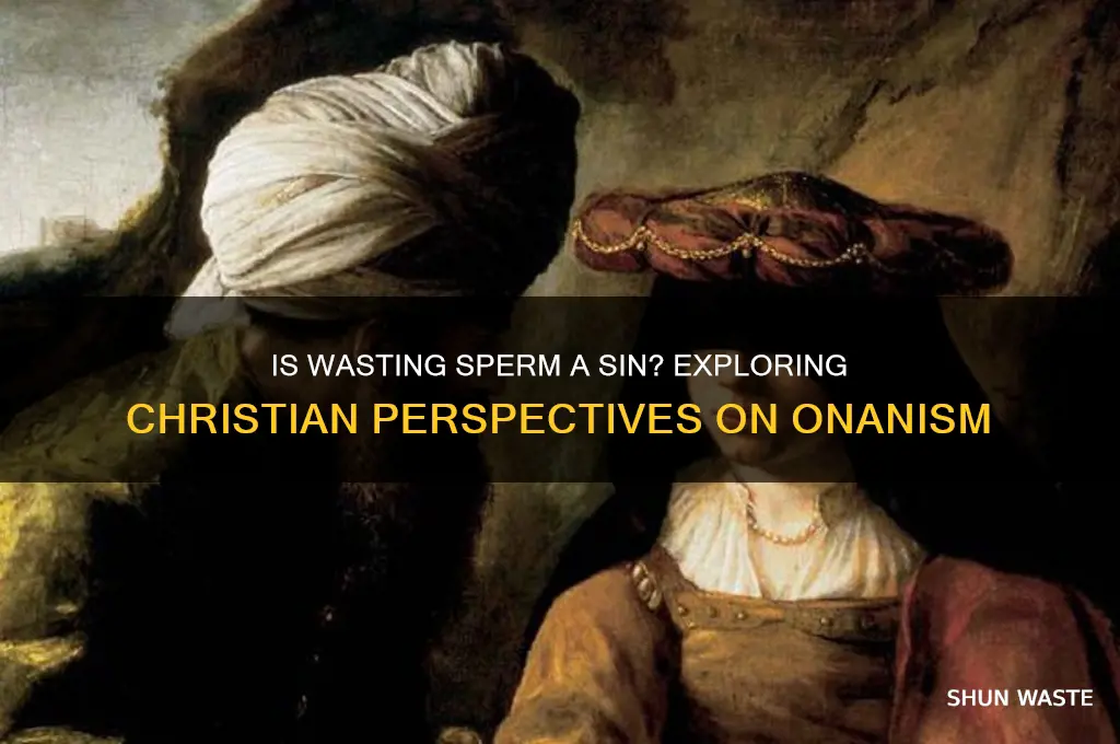 is wasting sperm a sin in christianity