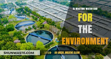 Wasting Water: Environmental Impact and Sustainable Solutions Explained