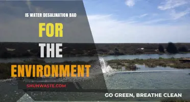 Water Desalination: Environmental Impact and Sustainable Solutions Explored