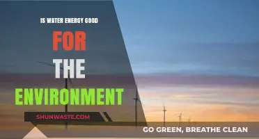 Water Energy: Eco-Friendly Power Source or Environmental Concern?