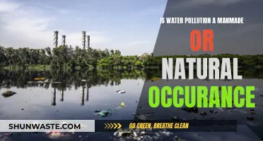 Water's Woes: Unraveling the Human-Made vs. Natural Pollution Mystery