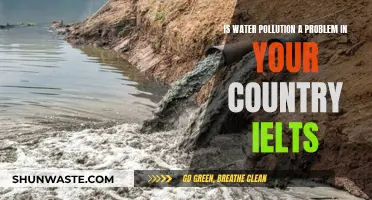 Water Woes: Exploring Pollution's Impact on Global Communities