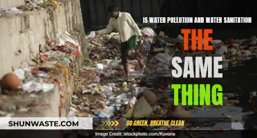 Water Pollution vs. Sanitation: Understanding the Differences