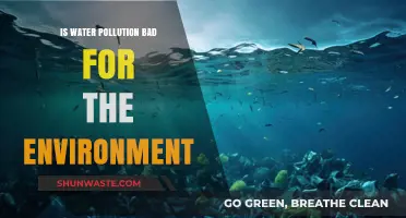 Water Pollution's Devastating Impact: How It Harms Our Fragile Ecosystems