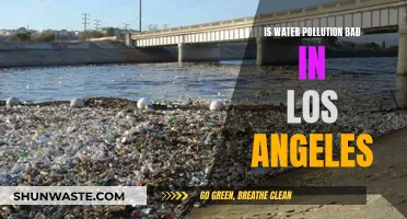 LA's Water Woes: A Deep Dive into Pollution