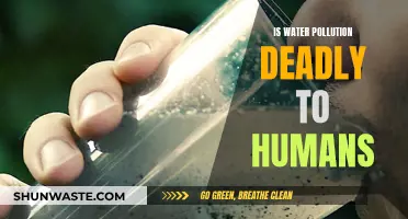 Water Pollution: A Deadly Threat to Human Health