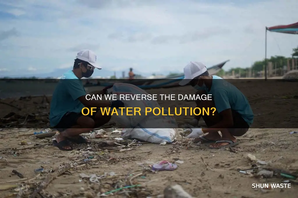 is water pollution fixable