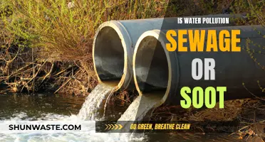 Unveiling Water's Dark Secrets: Sewage vs. Soot