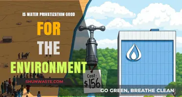 Water Privatization: Environmental Savior or Ecological Threat?