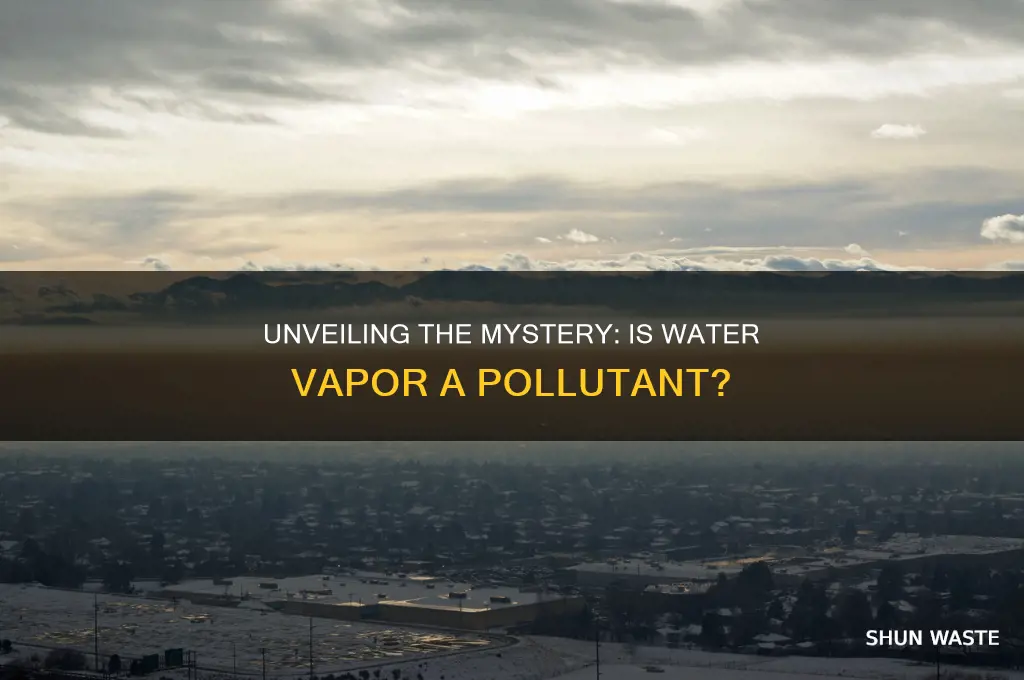 is water vapor a pollutant