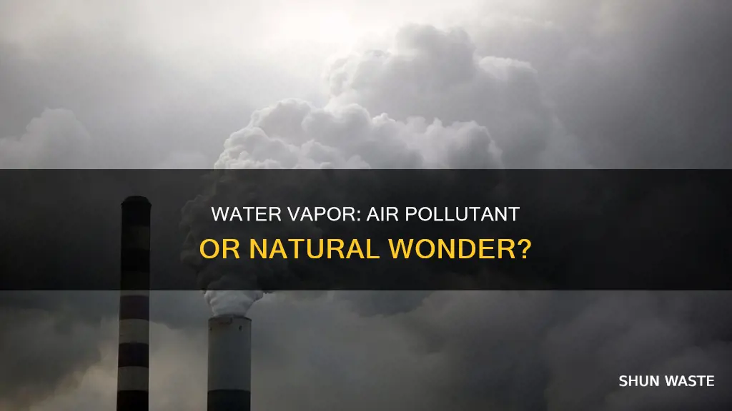 is water vapor an air pollutant