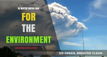 Is Water Vapor an Environmental Threat? Unveiling Its Climate Impact