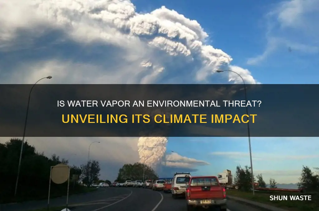 is water vapor bad for the environment