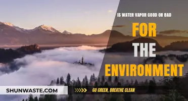 Water Vapor's Environmental Impact: Beneficial Ally or Hidden Threat?
