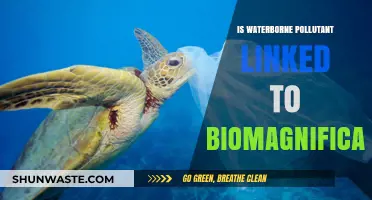 Water Pollutants: A Biomagnification Concern?