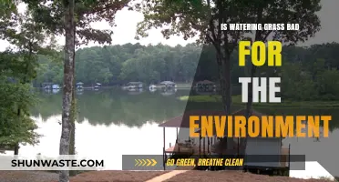 Is Watering Grass Harming Our Planet? Environmental Impact Explored