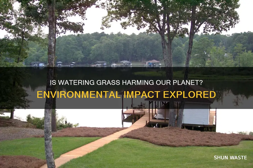 is watering grass bad for the environment