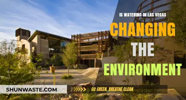 Las Vegas Watering Practices: Impact on the Desert Environment Explored