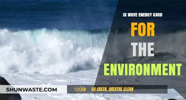 Wave Energy: Eco-Friendly Power Source or Environmental Concern?