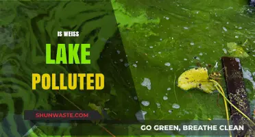 Weiss Lake Pollution: What's the Reality?