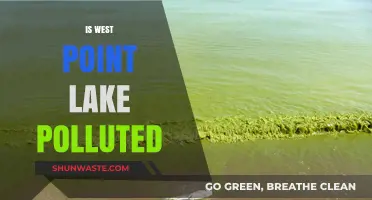 West Point Lake: A Polluted Paradise?
