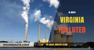 West Virginia's Pollution Problem: A Troubling Reality