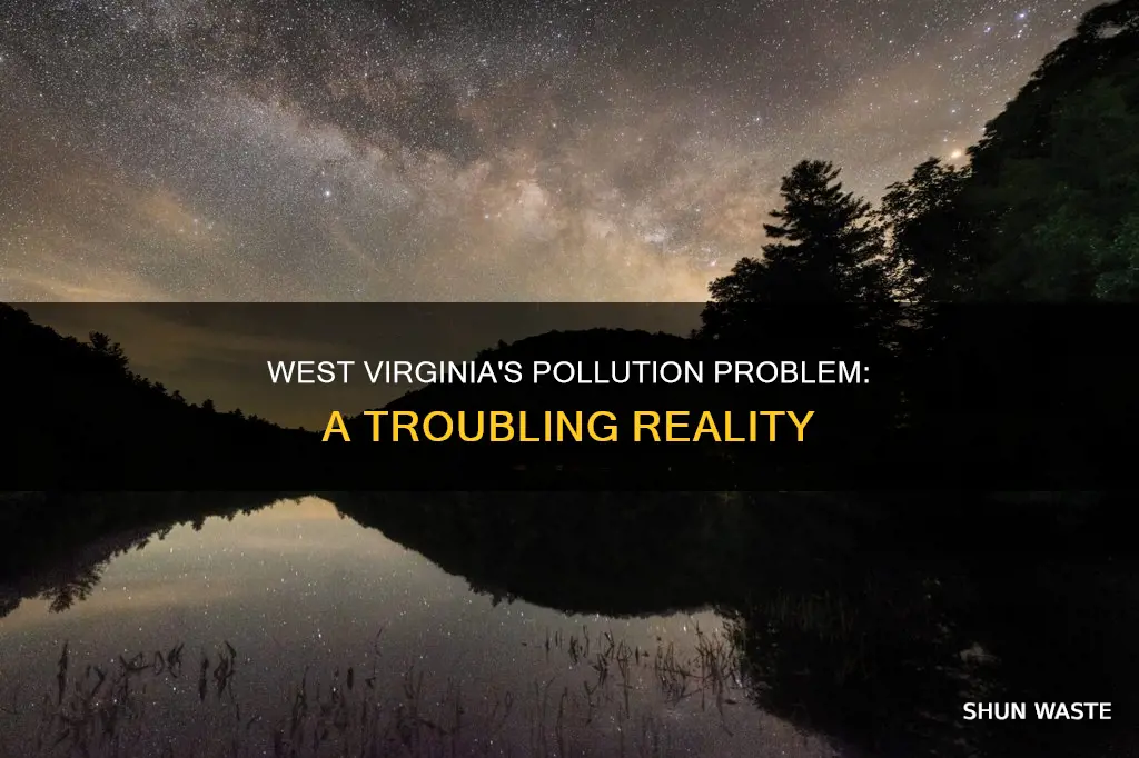 is west virginia polluted