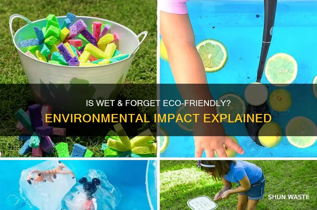 is wet and forget bad for the environment