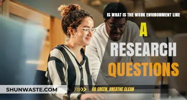 Exploring Work Environments: A Key Research Question for Career Insights