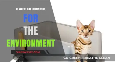 Eco-Friendly Pet Care: Is Wheat Cat Litter a Green Choice?