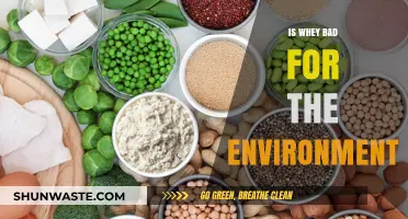 Whey's Environmental Impact: Sustainable or Harmful for Our Planet?