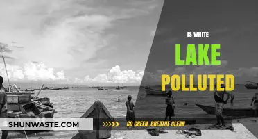 White Lake's Pollution Problem: Is it Safe?