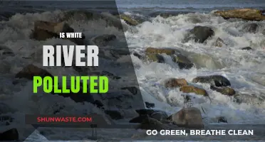 White River's Pollution: A Troubling Concern