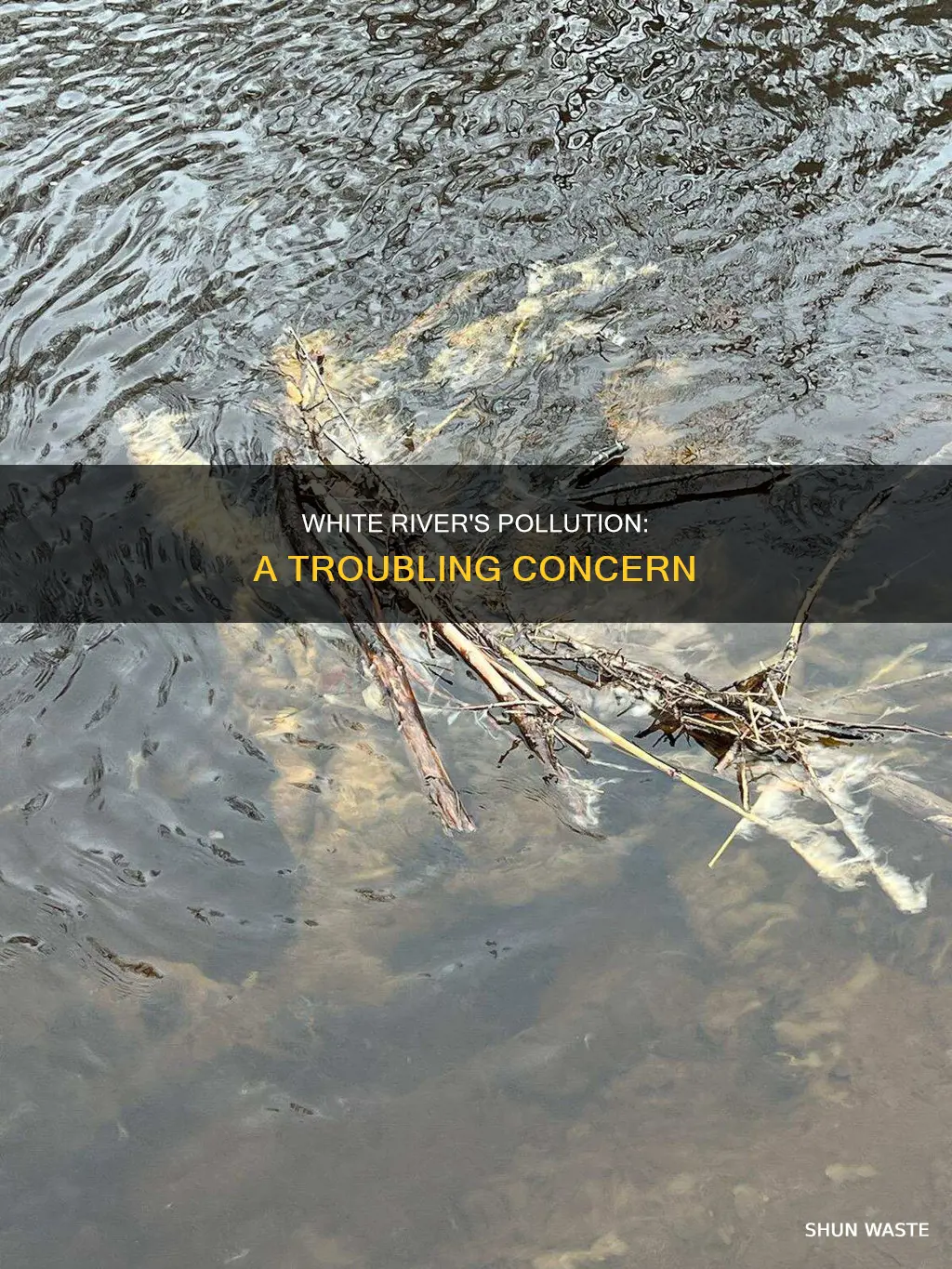 is white river polluted