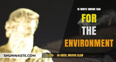 Is White Smoke Harmful? Environmental Impact Explained