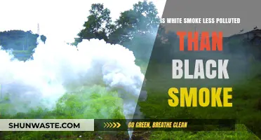 White vs Black Smoke: Which is Less Polluted?