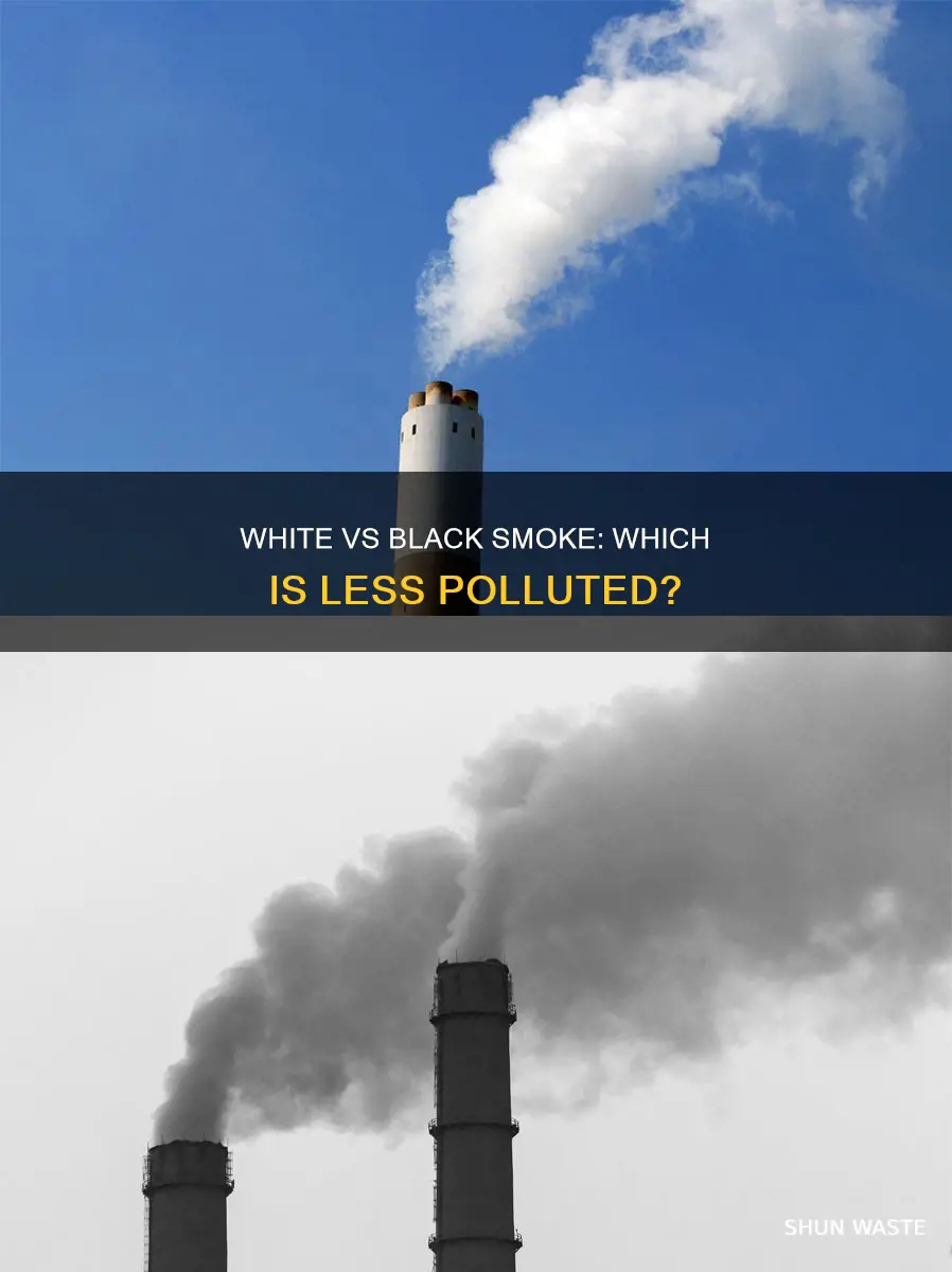 is white smoke less polluted than black smoke